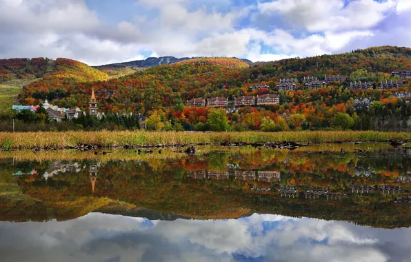 Картинка осень, деревья, горы, город, река