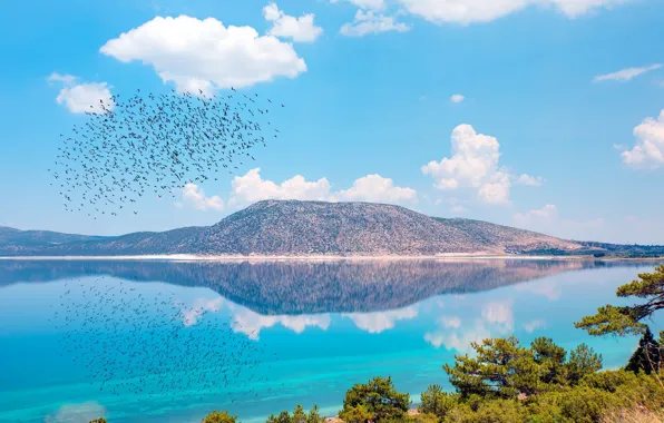 Lake, birds, hill, Lake Salda