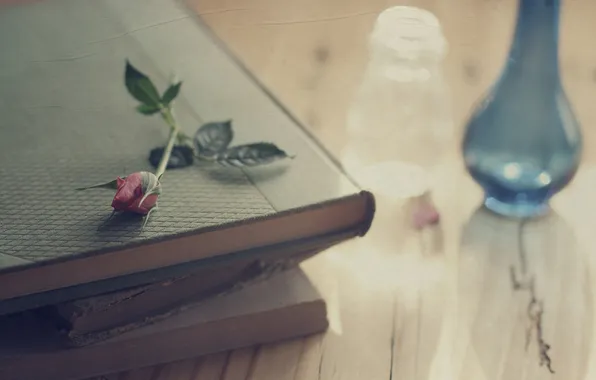 Картинка цветок, стол, роза, книги, ваза, заломы