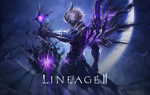 Ночь, тьма, сила, магия, игра, человек, меч, lineage 2