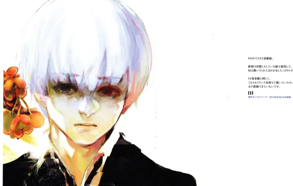 Боль, седой, Ken Kaneki, Токийский Гуль, одержимый, tokyo Ghoul