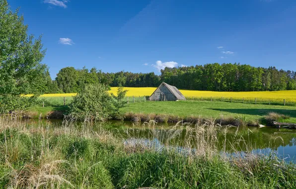 Картинка поле, речка, сарайчик
