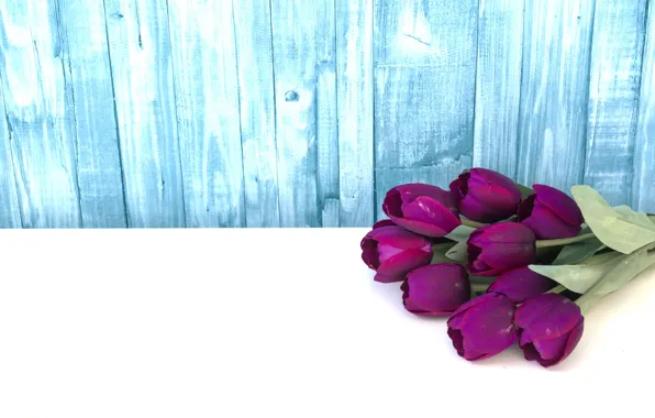 Цветы, фиолетовые, тюльпаны, fresh, wood, flowers, tulips, purple