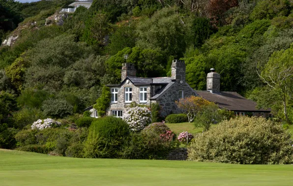 Картинка зелень, деревья, цветы, холмы, дома, сад, склон, Великобритания