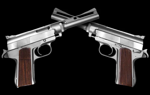 Gun, pistol, magnum, steel, handgun, .45, Death Wish, stainless steel