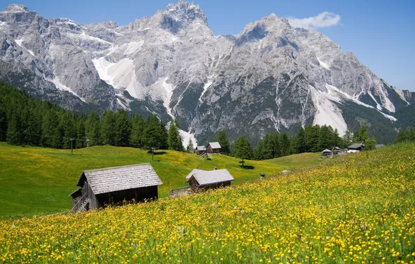 Картинка пейзаж, цветы, горы, природа, красота, Альпы, лужайка