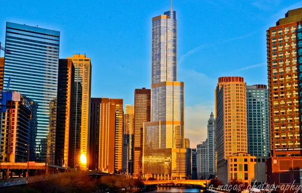 Картинка здания, небоскребы, америка, чикаго, Chicago, сша, высотки
