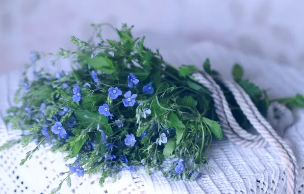 Цветы, букет, синие
