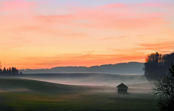 Картинка поле, туман, пейзажи, утро, домик