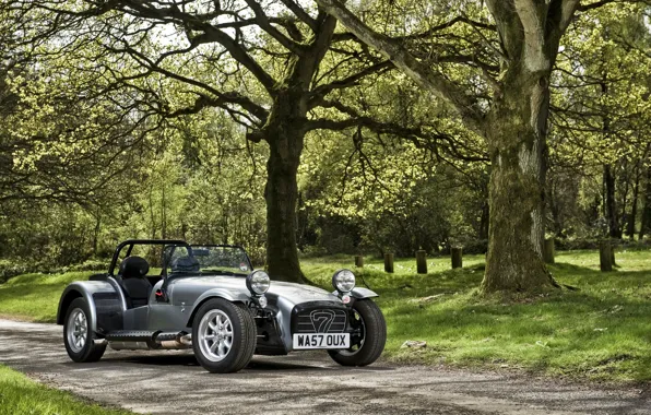 Лето, деревья, парк, автомобиль, Caterham, Roadsport