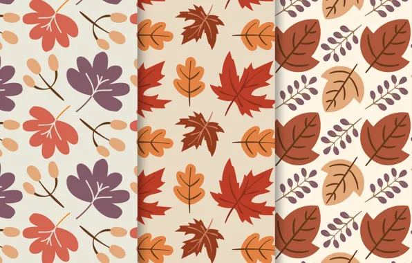 Картинка листья, фон, текстура, pattern, Colors, Background, collection, Leaves
