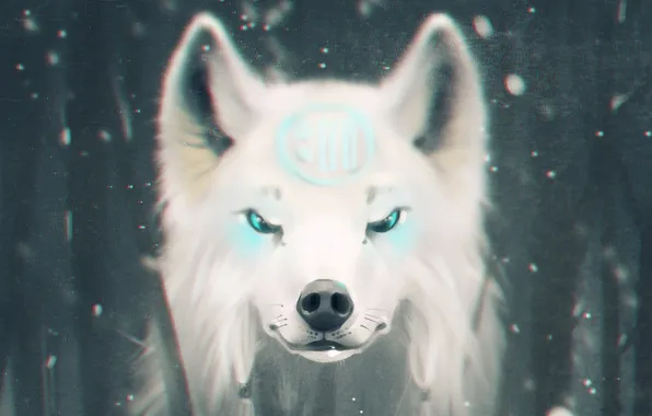 Картинка снег, знак, Волк