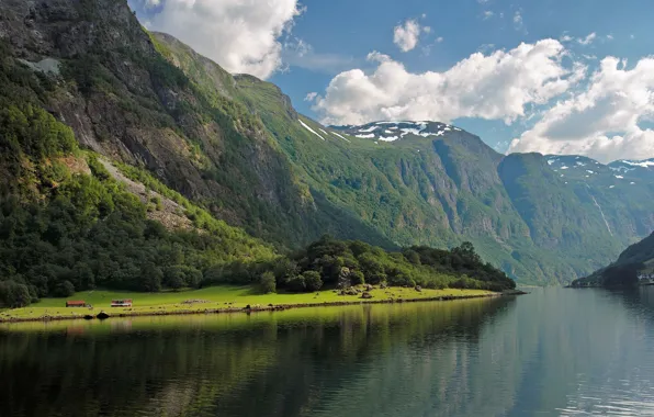 Картинка скалы, Норвегия, леса, залив Фьорд