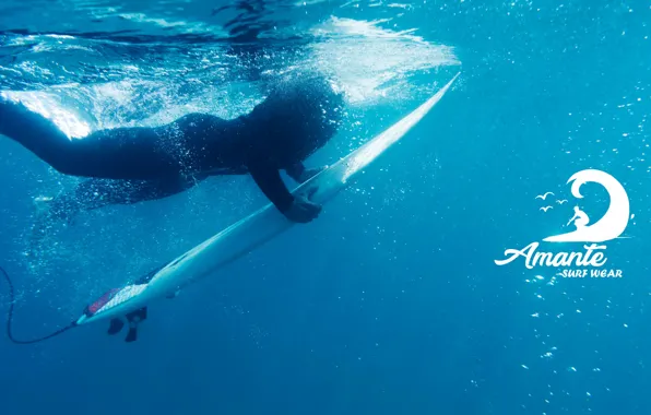 Logo, Surf, amante, onda
