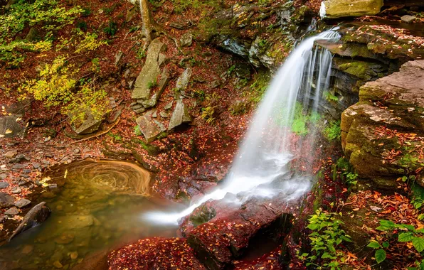 Картинка осень, лес, пейзаж, природа, река, краски, водопад