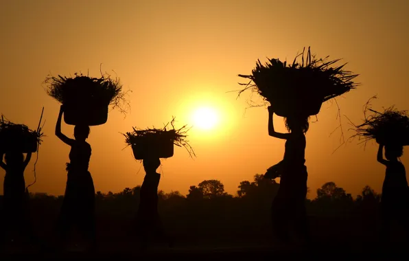 Картинка sunset, women, harvest