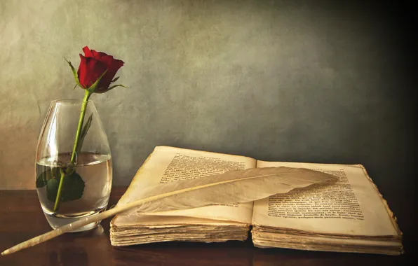 Картинка стол, перо, роза, книга, ваза, красная, старая