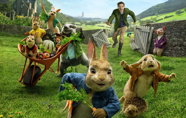 Мультфильм, кролики, свинья, парень, Peter Rabbit, Кролик Питер