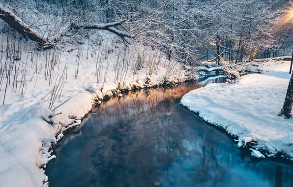 Зима, лес, река