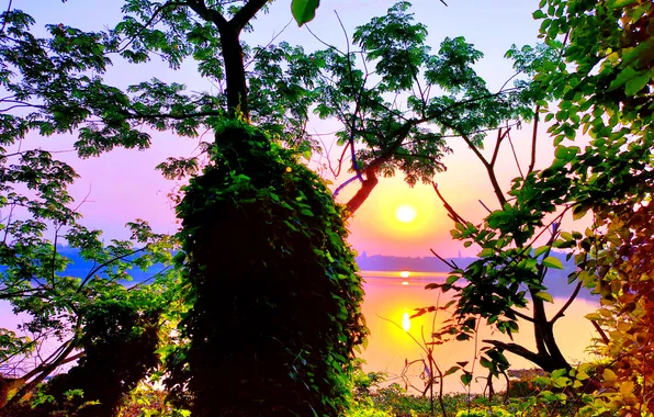 Sun, Water, Sunrise, Dawn, Morning, Lake, Trees, Reflection