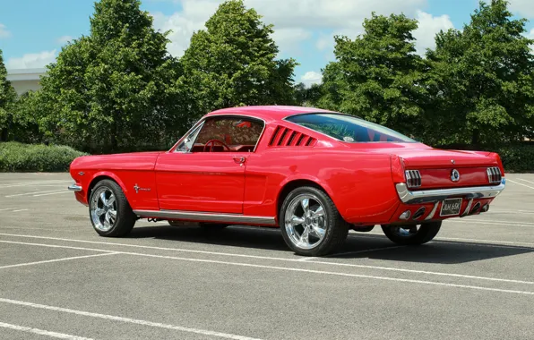 Красный, Mustang, Ford, мускул кар, Muscle car