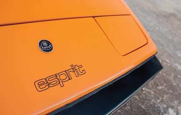 Lotus, logo, Esprit, badge, Lotus Esprit