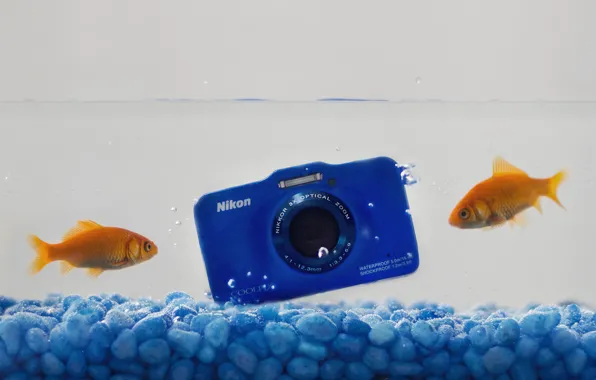 Картинка вода, рыбки, камера, Nikon