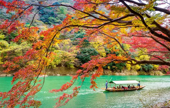 Осень, листья, деревья, парк, Japan, Kyoto, nature, park