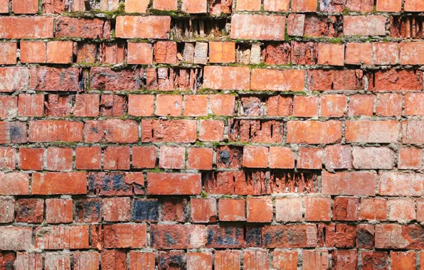Red, wall, bricks, wear