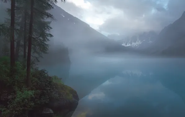 Вода, деревья, туман, озеро, вечер, сумерки, Сумрак