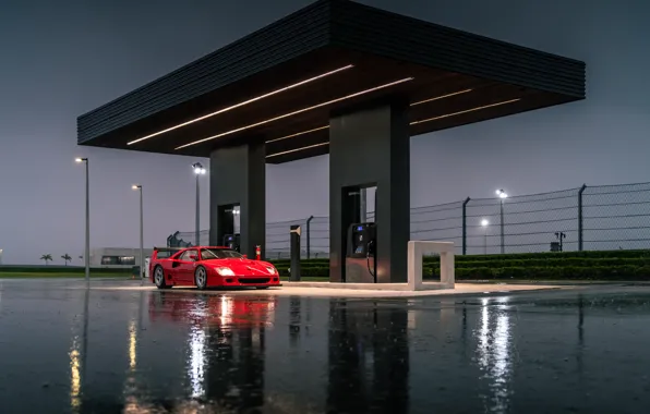 Ferrari, red, F40, Ferrari F40 LM by Michelotto