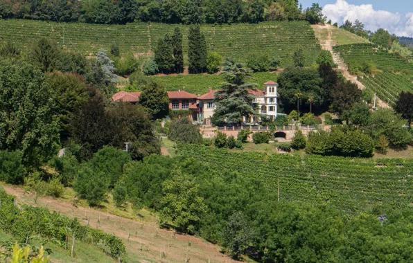Природа, Дома, Деревья, Италия, Nature, Italy, Тоскана, Trees