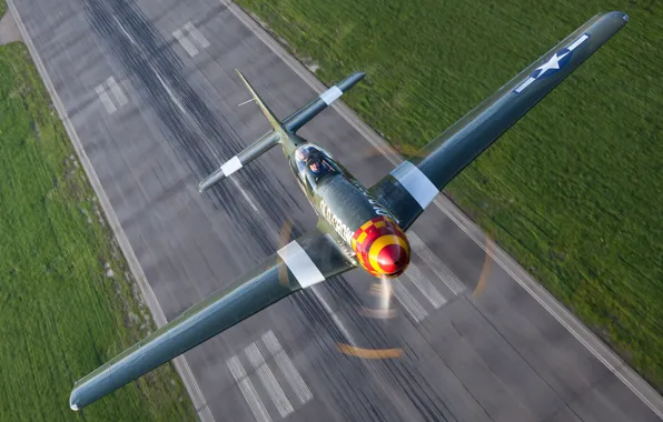Mustang, истребитель, P-51D, одноместный