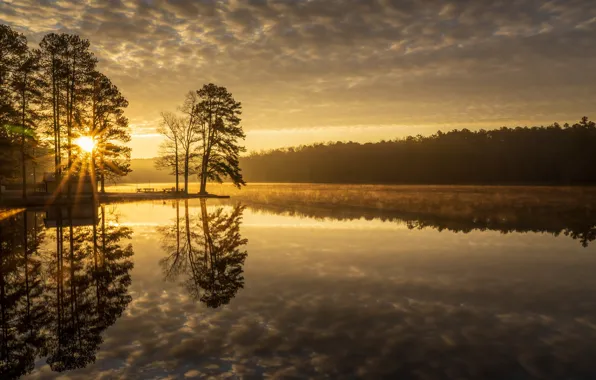Деревья, озеро, отражение, рассвет, утро, Tennessee, Теннесси, Natchez Trace State Park