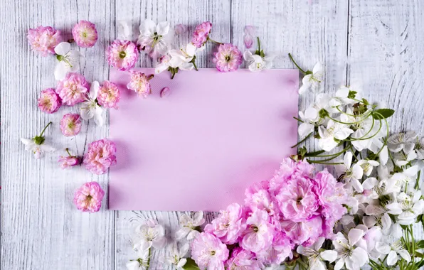 Картинка цветы, розовые, wood, pink, flowers, beautiful, tender, frame