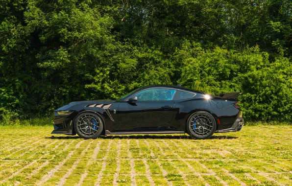 Ford Mustang, спортивное купе, Clive Sutton, 2025, Ford Mustang CS800 DH