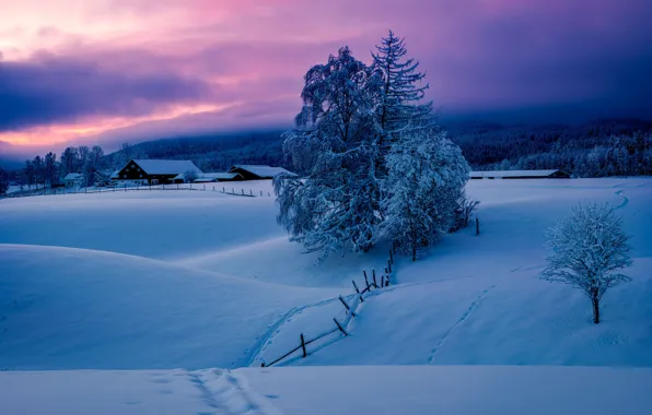 Картинка зима, деревья, пейзаж, природа, дома, утро, деревня, Норвегия