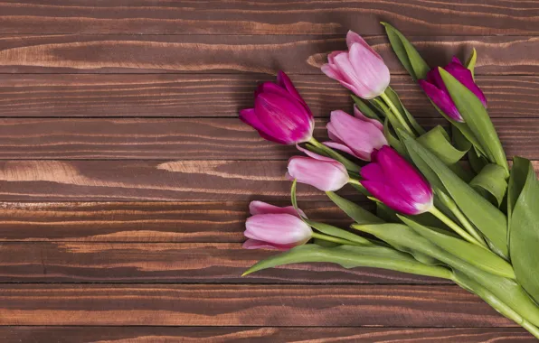 Цветы, colorful, тюльпаны, розовые, wood, pink, flowers, tulips