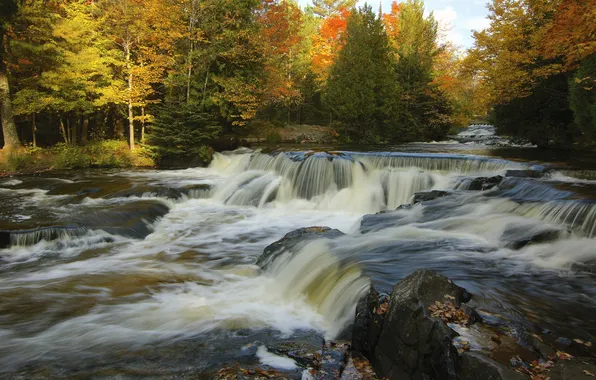 Картинка осень, деревья, река, пороги