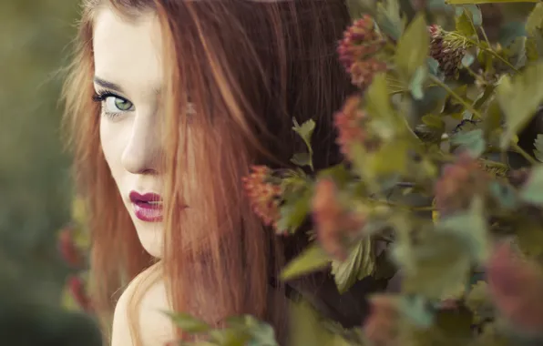 Картинка девушка, цветы, портрет, длинные волосы