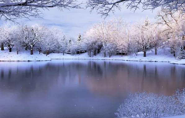 Nature, Winter, Snow, Lake, Mood