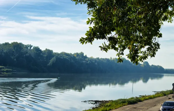 Картинка Природа, Дерево, Дорога, Утро, Nature, Tree, Morning, Road