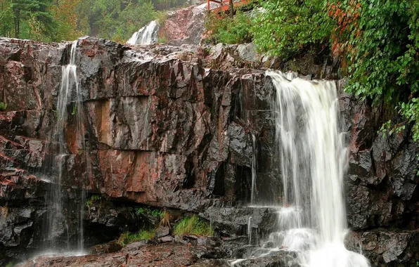 Картинка лес, деревья, пейзаж, горы, природа, скала, водопад, растения