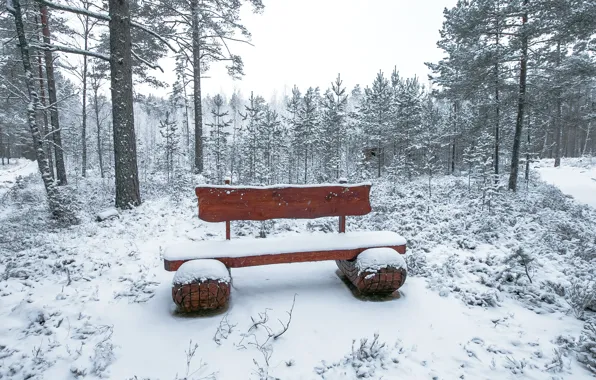 Зима, снег, деревья, пейзаж, скамейка, forest, trees, landscape
