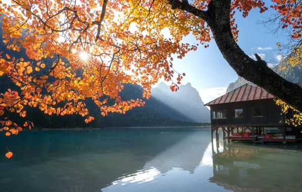 Картинка осень, солнце, лучи, пейзаж, горы, ветки, природа, озеро