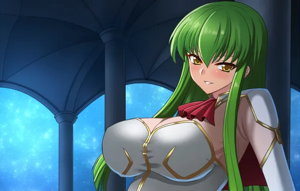 Girl, sexy, cleavage, Code Geass, blouse, long hair, boobs, anime