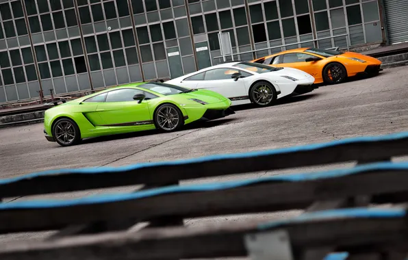 Gallardo, lamborghini, murcielago, lp570-4, superleggera, superveloce sv lp670-4