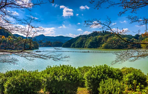 Картинка зелень, осень, лес, небо, солнце, облака, деревья, горы