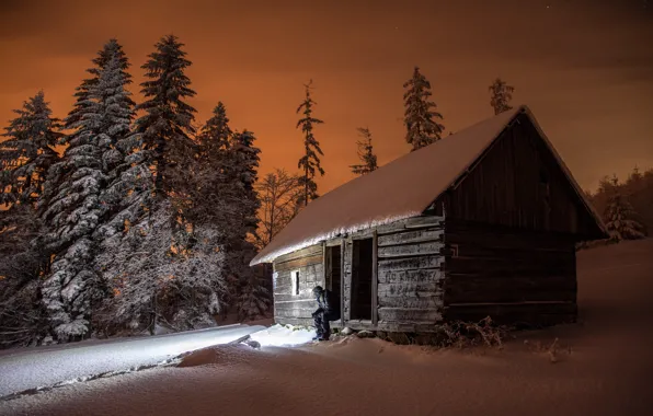 Картинка зима, лес, свет, снег, пейзаж, ночь, природа, дом