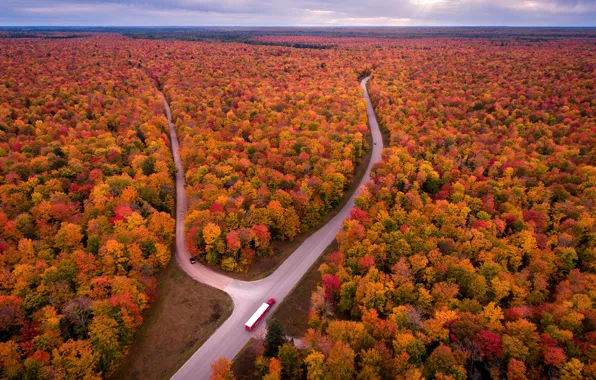 Картинка дорога, осень, лес, небо, облака, деревья, машины, горизонт